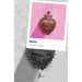 Polvo