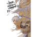 Is It Wrong to Try to Pick Up Girls in a Dungeon?, Vol. 11 (Light Novel)