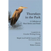Thursdays in the Park, a Collection of Short Stories and Poems