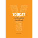 Youcat Confirmation Leader's Handbook