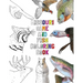 Missouri Game and Fish Coloring Book