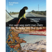 Ingrid Wiener, Martin Roth: From Far Away You See More