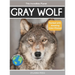 Gray Wolf: Fascinating Animal Facts for Kids