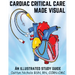 Cardiac Critical Care Made Visual