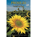 Prosilio: Toward the Sun