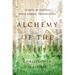 Alchemy of the Self: 30 Days of Lessons with Hermes Trismegistus