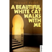A Beautiful White Cat Walks with Me