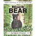 The Black Bear