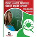 COMMON CORE LANGUAGE Idioms, Adages, Proverbs, Similes, and Metaphors Skill-Building Workbook, Grade 3, Grade 4, and Grade 5