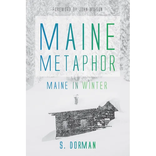 Maine Metaphor: Maine in Winter