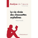 La vie rêvée des chaussettes orphelines de Marie Vareille (Analyse de l'oeuvre): Résumé complet et analyse détaillée de l'oeuvre