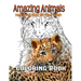 Amazing Animals: Coloring Book