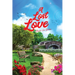 A Lost Love