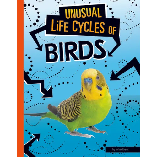 Unusual Life Cycles of Birds