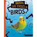 Unusual Life Cycles of Birds