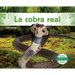 La Cobra Real (King Cobra)