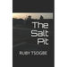 The Salt Pit: A historical novel