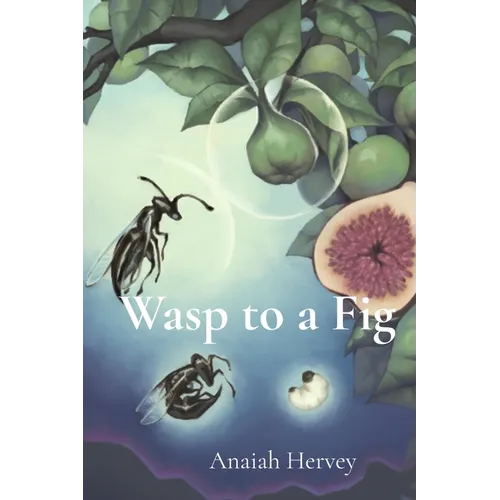 Wasp to a Fig