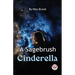 A Sagebrush Cinderella
