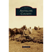 Antelope County