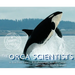 The Orca Scientists