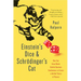 Einstein's Dice and Schrödinger's Cat: How Two Great Minds Battled Quantum Randomness to Create a Unified Theory of Physics