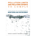 Pollution Limits and Pollutersa Efforts to Comply: The Role of Government Monitoring and Enforcement