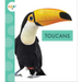 Toucans