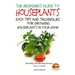 The Beginner's Guide to Houseplants: Easy Tips and Techniques for Growing Houseplants in Your Home