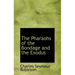 The Pharaohs of the Bondage and the Exodus