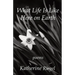 What Life Is Like Here on Earth