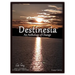 Destinesia: An Anthology of Change