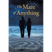 The Maze of Anything