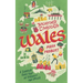 Journey through Wales: A summer road trip of discovery and smiles