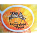 The Honeybee in Focus
