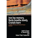 Iron Has Memory, Rocks Breathe Slowly, Crystals Learn: Long Term Thinking and Cultural Change-Revisited