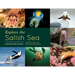 Explore the Salish Sea: A Nature Guide for Kids