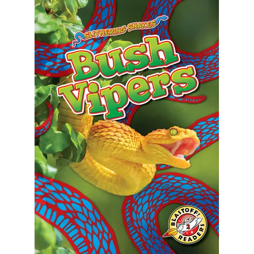 Bush Vipers