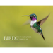 Bird Photographer of the Year