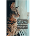 Meow the story of Meow