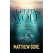 Sleeping Wolf: A Waterway Chronicle Adventure Book 3