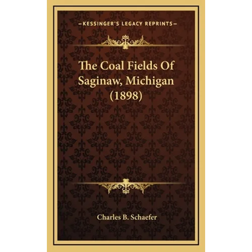 The Coal Fields Of Saginaw, Michigan (1898)
