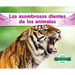 Los Asombrosos Dientes de Los Animales (Different Teeth of Animals)