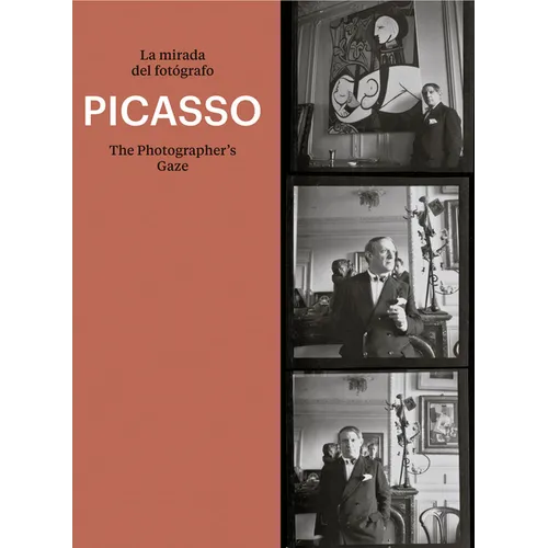 Picasso: The Photographer's Gaze
