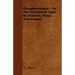 Phosphorescence: Or, the Emission of Light by Minerals, Plants, and Animals