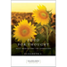 Food for Thought: Daily Meditations for Overeaters
