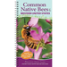 Common Native Bees of the Western United States: Your Way to Easily Identify Bees and Look-Alikes