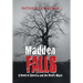Madden Falls: A Novel of America and the Devil's Music