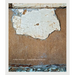 Robert Polidori: Topographical Histories