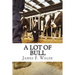 A Lot of Bull